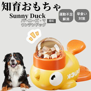 �y10�{�|�C���g�z�m�狋�a�� ���L�p �������� IQ�P�� �y�b�g�m�� ������ԑ΍� �����ŗV�ׂ�a���ߋ� ���a�� �􂦂�݌v ���Ԓׂ� �t�[�h�g�C �]�g���������� �y�b�g�p�G�T���� �o�[�j�[