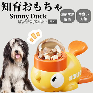 �y10�{�|�C���g�z�m�狋�a�� ���L�p �������� IQ�P�� �y�b�g�m�� ������ԑ΍� �����ŗV�ׂ�a���ߋ� ���a�� �􂦂�݌v ���Ԓׂ� �t�[�h�g�C �]�g���������� �y�b�g�p�G�T���� �r�A�f�b