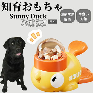 �y10�{�|�C���g�z�m�狋�a�� ���L�p �������� IQ�P�� �y�b�g�m�� ������ԑ΍� �����ŗV�ׂ�a���ߋ� ���a�� �􂦂�݌v ���Ԓׂ� �t�[�h�g�C �]�g���������� �y�b�g�p�G�T���� �t���b�g