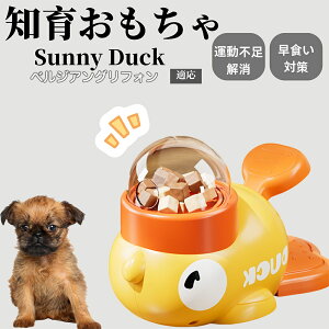 �y10�{�|�C���g�z�m�狋�a�� ���L�p �������� IQ�P�� �y�b�g�m�� ������ԑ΍� �����ŗV�ׂ�a���ߋ� ���a�� �􂦂�݌v ���Ԓׂ� �t�[�h�g�C �]�g���������� �y�b�g�p�G�T���� �x���W�A