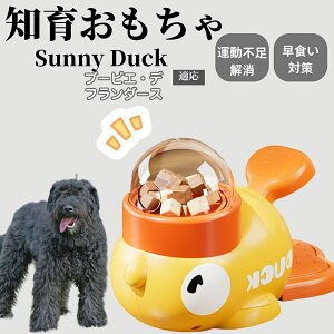 �y10�{�|�C���g�z�m�狋�a�� ���L�p �������� IQ�P�� �y�b�g�m�� ������ԑ΍� �����ŗV�ׂ�a���ߋ� ���a�� �􂦂�݌v ���Ԓׂ� �t�[�h�g�C �]�g���������� �y�b�g�p�G�T���� �u�[�r�G