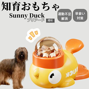 �y10�{�|�C���g�z�m�狋�a�� ���L�p �������� IQ�P�� �y�b�g�m�� ������ԑ΍� �����ŗV�ׂ�a���ߋ� ���a�� �􂦂�݌v ���Ԓׂ� �t�[�h�g�C �]�g���������� �y�b�g�p�G�T���� �u���A�[