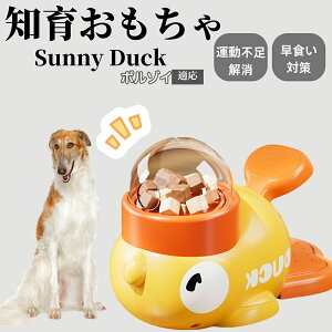 �y10�{�|�C���g�z�m�狋�a�� ���L�p �������� IQ�P�� �y�b�g�m�� ������ԑ΍� �����ŗV�ׂ�a���ߋ� ���a�� �􂦂�݌v ���Ԓׂ� �t�[�h�g�C �]�g���������� �y�b�g�p�G�T���� �{���]�C