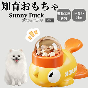 �y10�{�|�C���g�z�m�狋�a�� ���L�p �������� IQ�P�� �y�b�g�m�� ������ԑ΍� �����ŗV�ׂ�a���ߋ� ���a�� �􂦂�݌v ���Ԓׂ� �t�[�h�g�C �]�g���������� �y�b�g�p�G�T���� �|�����j