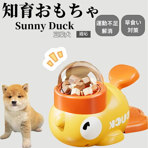 �y10�{�|�C���g�z�m�狋�a�� ���L�p �������� IQ�P�� �y�b�g�m�� ������ԑ΍� �����ŗV�ׂ�a���ߋ� ���a�� �􂦂�݌v ���Ԓׂ� �t�[�h�g�C �]�g���������� �y�b�g�p�G�T���� ���Č��� 