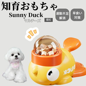 �y10�{�|�C���g�z�m�狋�a�� ���L�p �������� IQ�P�� �y�b�g�m�� ������ԑ΍� �����ŗV�ׂ�a���ߋ� ���a�� �􂦂�݌v ���Ԓׂ� �t�[�h�g�C �]�g���������� �y�b�g�p�G�T���� �}���`�[