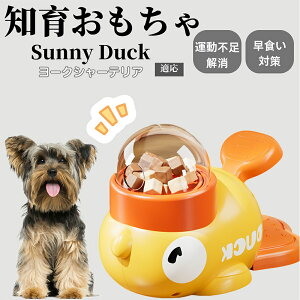 �y10�{�|�C���g�z�m�狋�a�� ���L�p �������� IQ�P�� �y�b�g�m�� ������ԑ΍� �����ŗV�ׂ�a���ߋ� ���a�� �􂦂�݌v ���Ԓׂ� �t�[�h�g�C �]�g���������� �y�b�g�p�G�T���� ���[�N�V