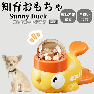 �y10�{�|�C���g�z�m�狋�a�� ���L�p �������� IQ�P�� �y�b�g�m�� ������ԑ΍� �����ŗV�ׂ�a���ߋ� ���a�� �􂦂�݌v ���Ԓׂ� �t�[�h�g�C �]�g���������� �y�b�g�p�G�T���� �����O�R