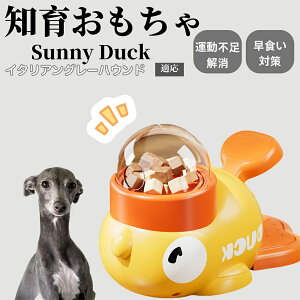 �y10�{�|�C���g�z�m�狋�a�� ���L�p �������� IQ�P�� �y�b�g�m�� ������ԑ΍� �����ŗV�ׂ�a���ߋ� ���a�� �􂦂�݌v ���Ԓׂ� �t�[�h�g�C �]�g���������� �y�b�g�p�G�T���� �C�^���A