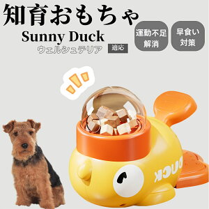 �y10�{�|�C���g�z�m�狋�a�� ���L�p �������� IQ�P�� �y�b�g�m�� ������ԑ΍� �����ŗV�ׂ�a���ߋ� ���a�� �􂦂�݌v ���Ԓׂ� �t�[�h�g�C �]�g���������� �y�b�g�p�G�T���� �E�F���V