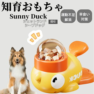 �y10�{�|�C���g�z�m�狋�a�� ���L�p �������� IQ�P�� �y�b�g�m�� ������ԑ΍� �����ŗV�ׂ�a���ߋ� ���a�� �􂦂�݌v ���Ԓׂ� �t�[�h�g�C �]�g���������� �y�b�g�p�G�T���� �V�F�b�g