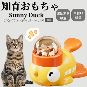 m狋a Lp  IQP ybgm ԑ΍ ŗVׂaߋ a 􂦂݌v Ԓׂ t[hgC ]g ybgpGT `Cj[Y[t@L 