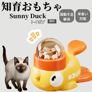 �y10�{�|�C���g�z�m�狋�a�� ���L�p �������� IQ�P�� �y�b�g�m�� ������ԑ΍� �����ŗV�ׂ�a���ߋ� ���a�� �􂦂�݌v ���Ԓׂ� �t�[�h�g�C �]�g���������� �y�b�g�p�G�T���� �g�C�{�u