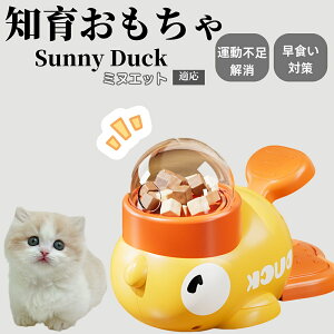 �y10�{�|�C���g�z�m�狋�a�� ���L�p �������� IQ�P�� �y�b�g�m�� ������ԑ΍� �����ŗV�ׂ�a���ߋ� ���a�� �􂦂�݌v ���Ԓׂ� �t�[�h�g�C �]�g���������� �y�b�g�p�G�T���� �~�k�G�b