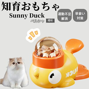 �y10�{�|�C���g�z�m�狋�a�� ���L�p �������� IQ�P�� �y�b�g�m�� ������ԑ΍� �����ŗV�ׂ�a���ߋ� ���a�� �􂦂�݌v ���Ԓׂ� �t�[�h�g�C �]�g���������� �y�b�g�p�G�T���� �y���V��