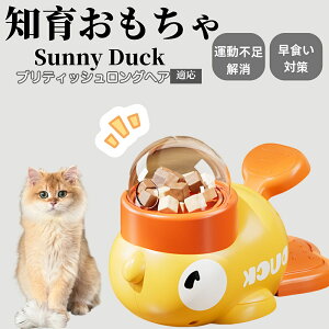 �y10�{�|�C���g�z�m�狋�a�� ���L�p �������� IQ�P�� �y�b�g�m�� ������ԑ΍� �����ŗV�ׂ�a���ߋ� ���a�� �􂦂�݌v ���Ԓׂ� �t�[�h�g�C �]�g���������� �y�b�g�p�G�T���� �u���e�B