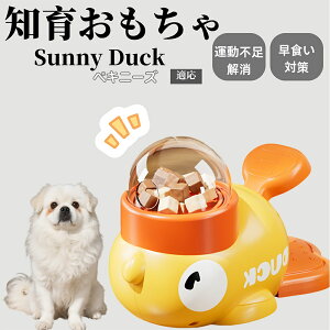 �y10�{�|�C���g�z�m�狋�a�� ���L�p �������� IQ�P�� �y�b�g�m�� ������ԑ΍� �����ŗV�ׂ�a���ߋ� ���a�� �􂦂�݌v ���Ԓׂ� �t�[�h�g�C �]�g���������� �y�b�g�p�G�T���� �y�L�j�[