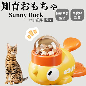 �y10�{�|�C���g�z�m�狋�a�� ���L�p �������� IQ�P�� �y�b�g�m�� ������ԑ΍� �����ŗV�ׂ�a���ߋ� ���a�� �􂦂�݌v ���Ԓׂ� �t�[�h�g�C �]�g���������� �y�b�g�p�G�T���� �x���K��