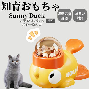 �y10�{�|�C���g�z�m�狋�a�� ���L�p �������� IQ�P�� �y�b�g�m�� ������ԑ΍� �����ŗV�ׂ�a���ߋ� ���a�� �􂦂�݌v ���Ԓׂ� �t�[�h�g�C �]�g���������� �y�b�g�p�G�T���� �u���e�B