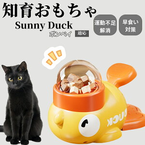 m狋a Lp  IQP ybgm ԑ΍ ŗVׂaߋ a 􂦂݌v Ԓׂ t[hgC ]g ybgpGT {xCL {xC