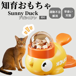 m狋a Lp  IQP ybgm ԑ΍ ŗVׂaߋ a 􂦂݌v Ԓׂ t[hgC ]g ybgpGT ArVjAL Ar