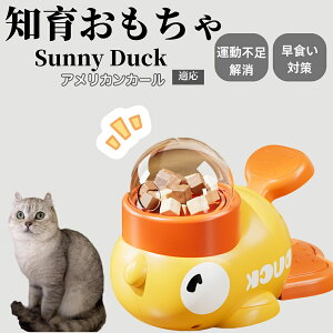 m狋a Lp  IQP ybgm ԑ΍ ŗVׂaߋ a 􂦂݌v Ԓׂ t[hgC ]g ybgpGT AJJ[L AJ