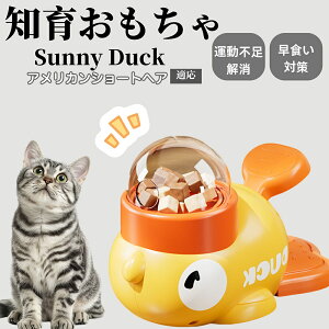 m狋a Lp  IQP ybgm ԑ΍ ŗVׂaߋ a 􂦂݌v Ԓׂ t[hgC ]g ybgpGT AJV[gwAL 