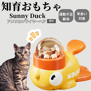 m狋a Lp  IQP ybgm ԑ΍ ŗVׂaߋ a 􂦂݌v Ԓׂ t[hgC ]g ybgpGT AJC[wAL 