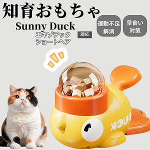 �y10�{�|�C���g�z�m�狋�a�� ���L�p �������� IQ�P�� �y�b�g�m�� ������ԑ΍� �����ŗV�ׂ�a���ߋ� ���a�� �􂦂�݌v ���Ԓׂ� �t�[�h�g�C �]�g���������� �y�b�g�p�G�T���� �G�L�]�`