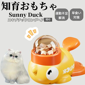 �y10�{�|�C���g�z�m�狋�a�� ���L�p �������� IQ�P�� �y�b�g�m�� ������ԑ΍� �����ŗV�ׂ�a���ߋ� ���a�� �􂦂�݌v ���Ԓׂ� �t�[�h�g�C �]�g���������� �y�b�g�p�G�T���� �G�L�]�`