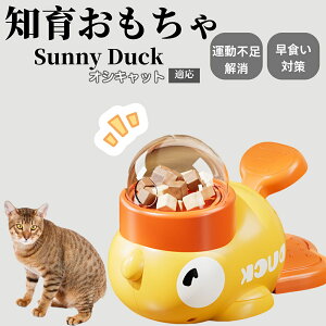 m狋a Lp  IQP ybgm ԑ΍ ŗVׂaߋ a 􂦂݌v Ԓׂ t[hgC ]g ybgpGT IVLbgL IVL