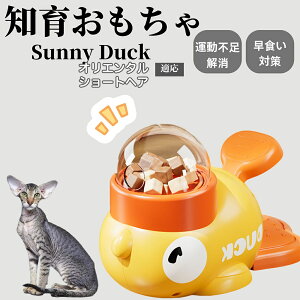 �y10�{�|�C���g�z�m�狋�a�� ���L�p �������� IQ�P�� �y�b�g�m�� ������ԑ΍� �����ŗV�ׂ�a���ߋ� ���a�� �􂦂�݌v ���Ԓׂ� �t�[�h�g�C �]�g���������� �y�b�g�p�G�T���� �I���G��