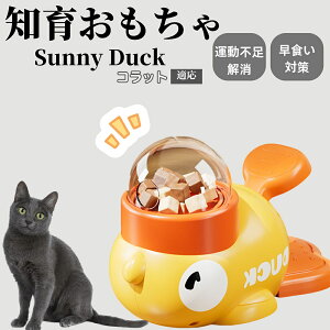 �y10�{�|�C���g�z�m�狋�a�� ���L�p �������� IQ�P�� �y�b�g�m�� ������ԑ΍� �����ŗV�ׂ�a���ߋ� ���a�� �􂦂�݌v ���Ԓׂ� �t�[�h�g�C �]�g���������� �y�b�g�p�G�T���� �R���b�g