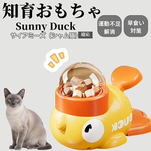 �y10�{�|�C���g�z�m�狋�a�� ���L�p �������� IQ�P�� �y�b�g�m�� ������ԑ΍� �����ŗV�ׂ�a���ߋ� ���a�� �􂦂�݌v ���Ԓׂ� �t�[�h�g�C �]�g���������� �y�b�g�p�G�T���� �T�C�A�~