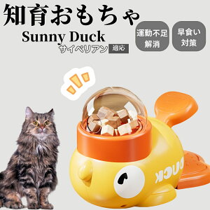 �y10�{�|�C���g�z�m�狋�a�� ���L�p �������� IQ�P�� �y�b�g�m�� ������ԑ΍� �����ŗV�ׂ�a���ߋ� ���a�� �􂦂�݌v ���Ԓׂ� �t�[�h�g�C �]�g���������� �y�b�g�p�G�T���� �T�C�x��