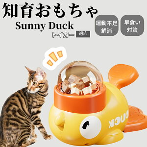 m狋a Lp  IQP ybgm ԑ΍ ŗVׂaߋ a 􂦂݌v Ԓׂ t[hgC ]g ybgpGT gCK[L gCK[