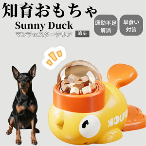 �y10�{�|�C���g�z�m�狋�a�� ���L�p �������� IQ�P�� �y�b�g�m�� ������ԑ΍� �����ŗV�ׂ�a���ߋ� ���a�� �􂦂�݌v ���Ԓׂ� �t�[�h�g�C �]�g���������� �y�b�g�p�G�T���� �}���`�F