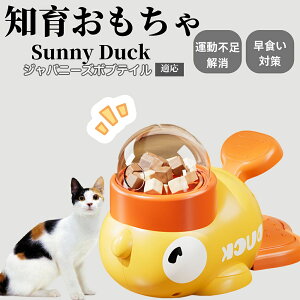 m狋a Lp  IQP ybgm ԑ΍ ŗVׂaߋ a 􂦂݌v Ԓׂ t[hgC ]g ybgpGT Wpj[Y{ueCL 