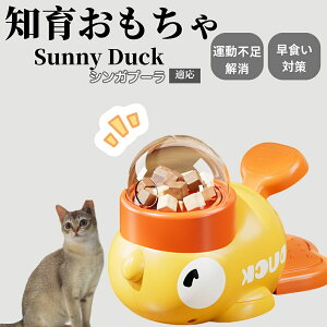 �y10�{�|�C���g�z�m�狋�a�� ���L�p �������� IQ�P�� �y�b�g�m�� ������ԑ΍� �����ŗV�ׂ�a���ߋ� ���a�� �􂦂�݌v ���Ԓׂ� �t�[�h�g�C �]�g���������� �y�b�g�p�G�T���� �V���K�v