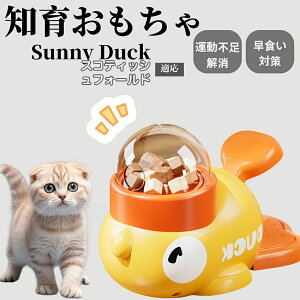 �y10�{�|�C���g�z�m�狋�a�� ���L�p �������� IQ�P�� �y�b�g�m�� ������ԑ΍� �����ŗV�ׂ�a���ߋ� ���a�� �􂦂�݌v ���Ԓׂ� �t�[�h�g�C �]�g���������� �y�b�g�p�G�T���� �X�R�e�B