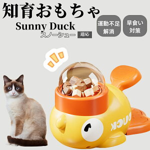 m狋a Lp  IQP ybgm ԑ΍ ŗVׂaߋ a 􂦂݌v Ԓׂ t[hgC ]g ybgpGT Xm[V[L Xm[V