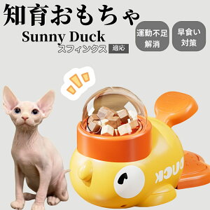 �y10�{�|�C���g�z�m�狋�a�� ���L�p �������� IQ�P�� �y�b�g�m�� ������ԑ΍� �����ŗV�ׂ�a���ߋ� ���a�� �􂦂�݌v ���Ԓׂ� �t�[�h�g�C �]�g���������� �y�b�g�p�G�T���� �X�t�B��