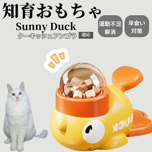 �y10�{�|�C���g�z�m�狋�a�� ���L�p �������� IQ�P�� �y�b�g�m�� ������ԑ΍� �����ŗV�ׂ�a���ߋ� ���a�� �􂦂�݌v ���Ԓׂ� �t�[�h�g�C �]�g���������� �y�b�g�p�G�T���� �^�[�L�b