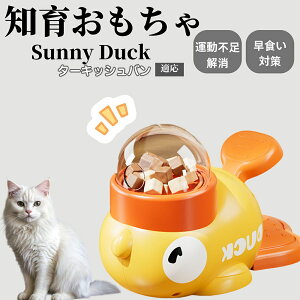 �y10�{�|�C���g�z�m�狋�a�� ���L�p �������� IQ�P�� �y�b�g�m�� ������ԑ΍� �����ŗV�ׂ�a���ߋ� ���a�� �􂦂�݌v ���Ԓׂ� �t�[�h�g�C �]�g���������� �y�b�g�p�G�T���� �^�[�L�b