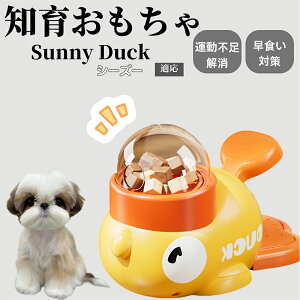 �y10�{�|�C���g�z�m�狋�a�� ���L�p �������� IQ�P�� �y�b�g�m�� ������ԑ΍� �����ŗV�ׂ�a���ߋ� ���a�� �􂦂�݌v ���Ԓׂ� �t�[�h�g�C �]�g���������� �y�b�g�p�G�T���� �V�[�Y�[