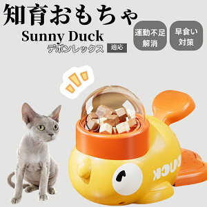 m狋a Lp  IQP ybgm ԑ΍ ŗVׂaߋ a 􂦂݌v Ԓׂ t[hgC ]g ybgpGT f{bNXL f{