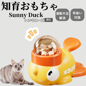 m狋a Lp  IQP ybgm ԑ΍ ŗVׂaߋ a 􂦂݌v Ԓׂ t[hgC ]g ybgpGT gLj[YL gL