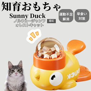 �y10�{�|�C���g�z�m�狋�a�� ���L�p �������� IQ�P�� �y�b�g�m�� ������ԑ΍� �����ŗV�ׂ�a���ߋ� ���a�� �􂦂�݌v ���Ԓׂ� �t�[�h�g�C �]�g���������� �y�b�g�p�G�T���� �m���E�F