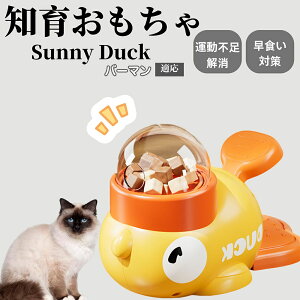 m狋a Lp  IQP ybgm ԑ΍ ŗVׂaߋ a 􂦂݌v Ԓׂ t[hgC ]g ybgpGT o[}L o[}