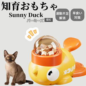 �y10�{�|�C���g�z�m�狋�a�� ���L�p �������� IQ�P�� �y�b�g�m�� ������ԑ΍� �����ŗV�ׂ�a���ߋ� ���a�� �􂦂�݌v ���Ԓׂ� �t�[�h�g�C �]�g���������� �y�b�g�p�G�T���� �o�[�~�[